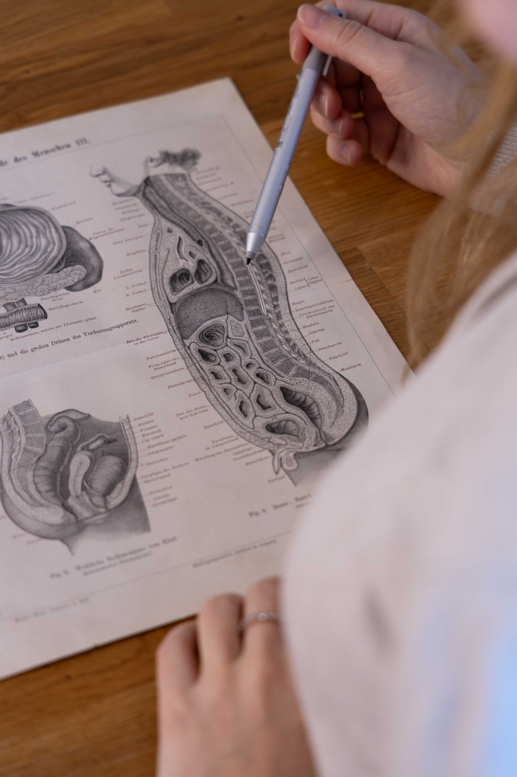 Ernährungstherapie in der Praxis nutricum